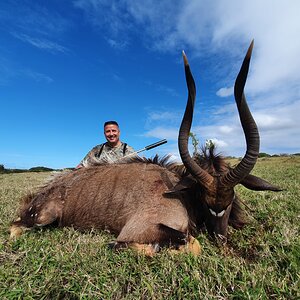 Nyala Hunting South Africa