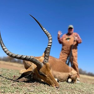 Impala Hunt South Africa