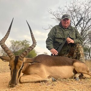 Impala Hunt South Africa