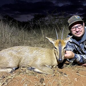 Duiker Hunt South Africa