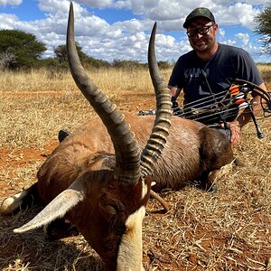 Blesbok Hunt South Africa