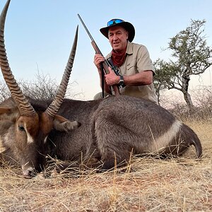 Waterbuck Hunting Limpopo Povince South Africa