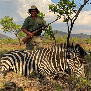Zebra Hunt Tanzania