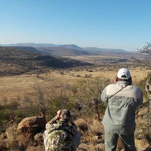 Spotting Kudu South Africa