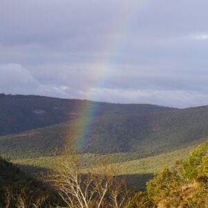 Rainbow & Nature Scene South Africa