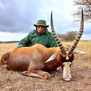 Blesbok Hunt South Africa