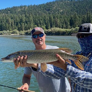 Northern Pike Fishing