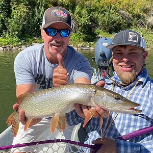 Northern Pike Fishing