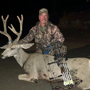 Bow Hunting Mule Deer Wyoming