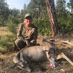Bow Hunting Mule Deer Wyoming