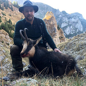 Chamois Hunting Romania