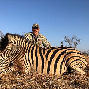 Burchell's Plains Zebra Hunting Matetsi Zimbabwe