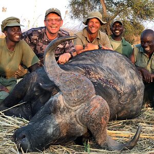 Buffalo Hunting Matetsi Zimbabwe