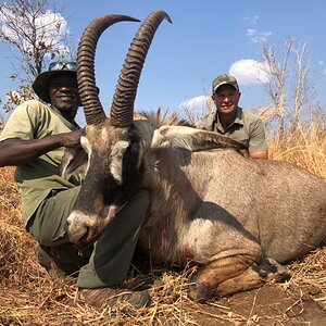 Roan Hunting Matetsi Zimbabwe