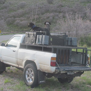 Hunting Vehicle