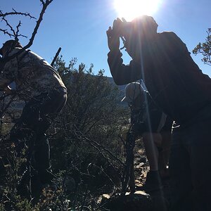 Stalking Through Bush South Africa