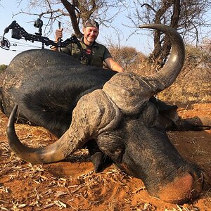 Bow Hunting Buffalo South Africa