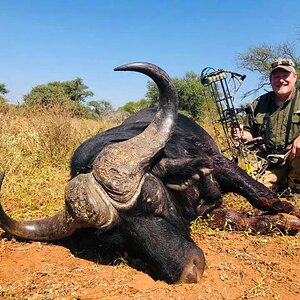 Bow Hunting Buffalo South Africa