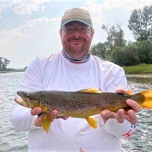 Trout Fishing Jefferson River Montana