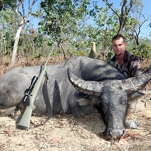 Water Buffalo Hunting Australia