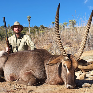 Waterbuck Hunt Eastern Cape South Africa