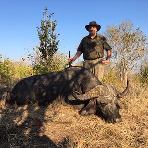 Hunting Buffalo Zimbabwe