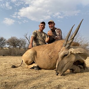 Eland Hunting Namibia