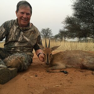 Grey Duiker Hunt Namibia