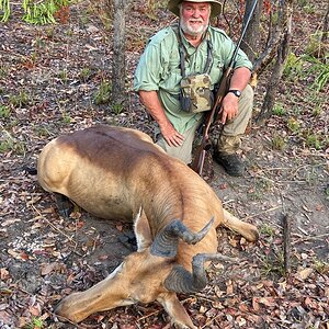 Lichtenstein Hartebeest Hunt Tanzania