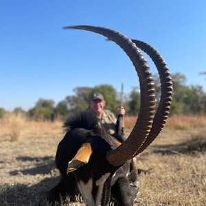 46 inch Sable Hunt South Africa