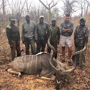 Kudu Hunt Zimbabwe