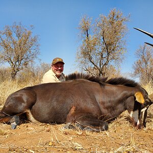 Sable Hunt Limpopo South Africa