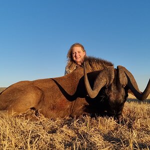 Black Wildebeest Hunt South Africa