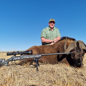 Black Wildebeest Hunt South Africa