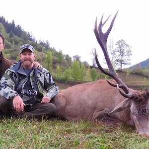 Red Stag Hunting Romania