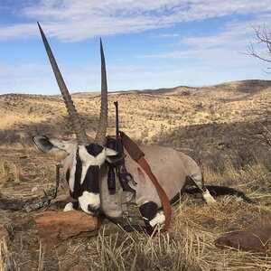 Gemsbok Hunt Namibia