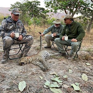 Hunting Leopard in Tanzania