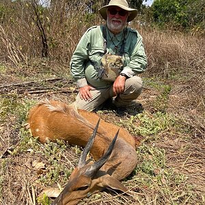 Harnessed Bushbuck Hunt Tanzania
