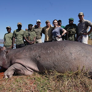Hippo Hunt Ume River Zimbabwe