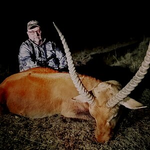 Light Lechwe Bull Hunt South Africa
