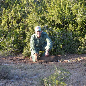 Duiker Hunt South Africa