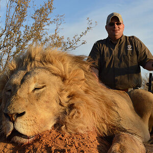 Lion Hunt Kalahari South Africa