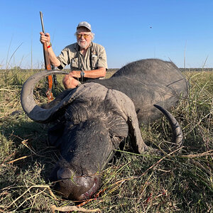 Buffalo Hunt Caprivi Namibia