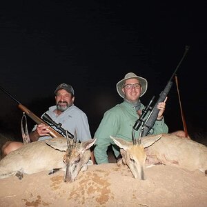 Common Duiker Hunt South Africa