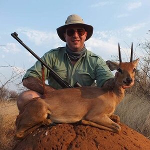 Steenbuck Hunt South Africa