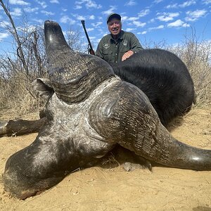 Buffalo Hunt South Africa