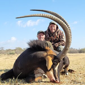 46 Inch Sable Hunt South Africa