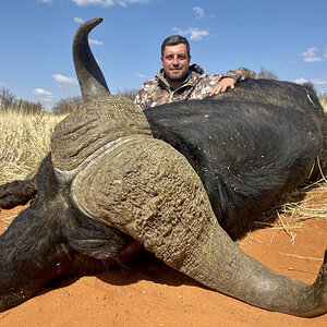 Buffalo Hunt Nothern Cape South Africa