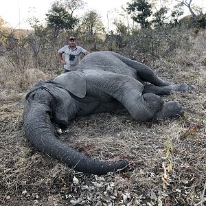 Elephant Hunt Zimbabwe