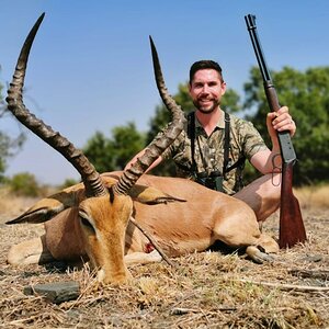 Impala Hunt South Africa